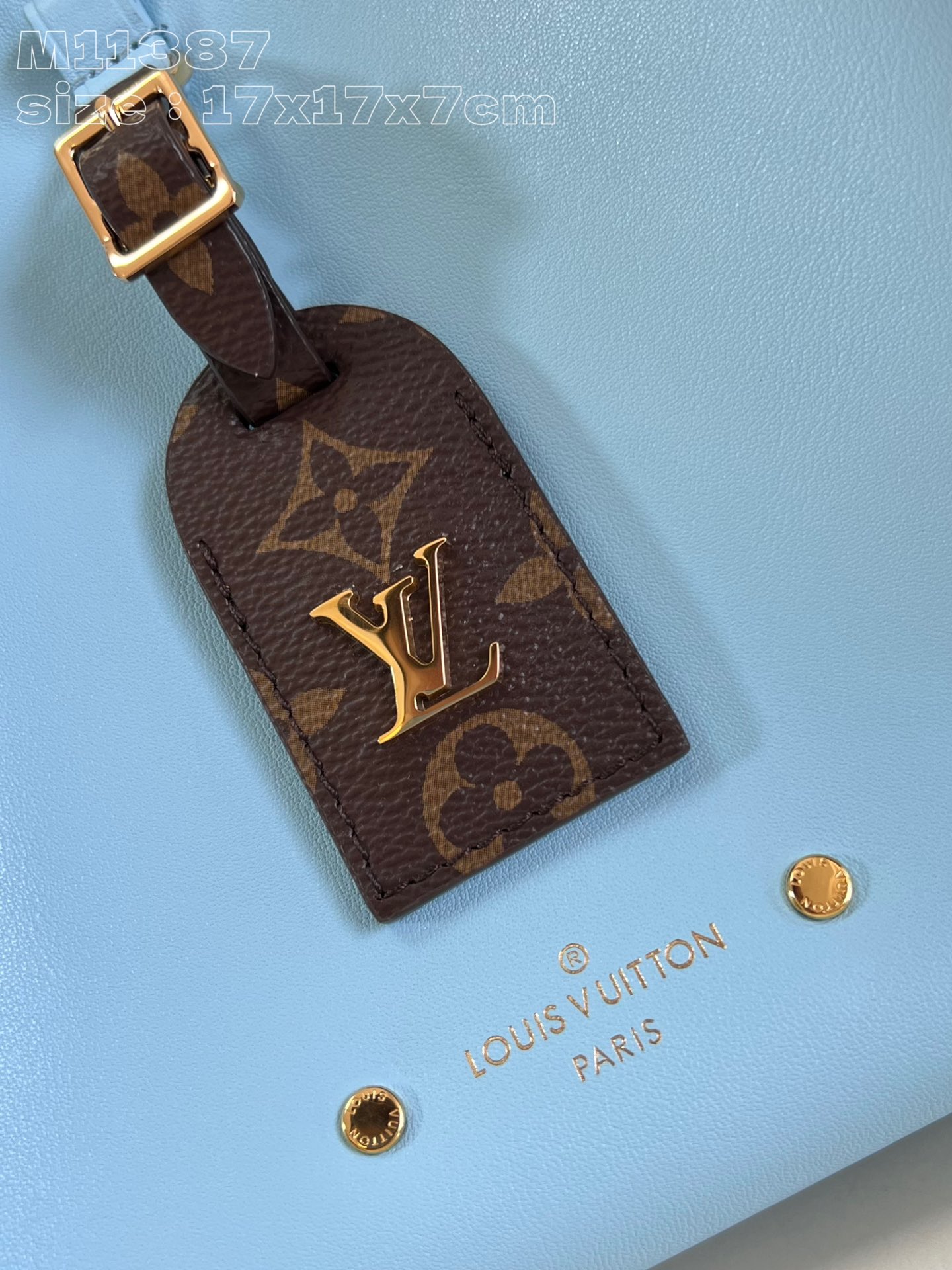 Louis Vuitton Shopping Bags